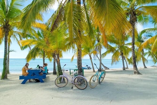 Saona Island Catamaran For Small Group Hotel Pick Food Drink - Saona beach time is the main event