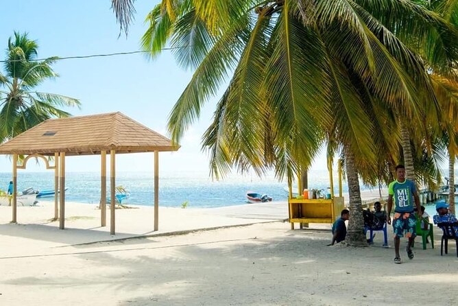 Saona Island Catamaran For Small Group Hotel Pick Food Drink - Lunch and drinks keep the package convenient