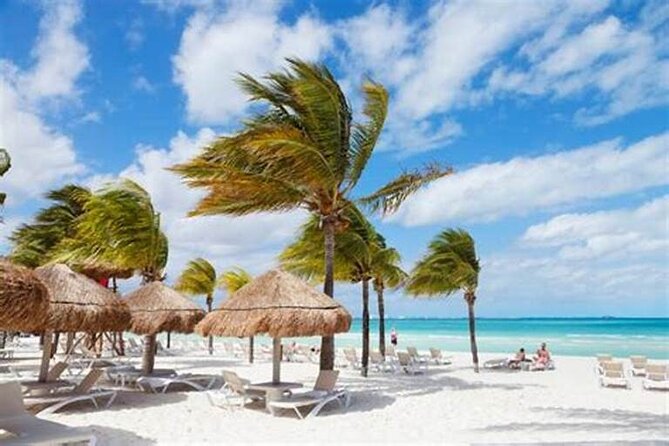 Saona Island Catamaran For Small Group Hotel Pick Food Drink - What the boat day is supposed to look like