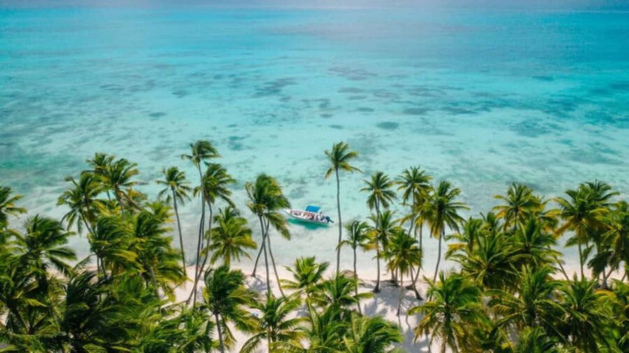Saona Island: Catamaran/Speedboat Tour to a Dream Beach - Key points to know before booking
