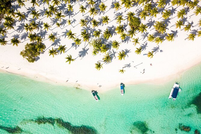 Saona Island Cruise & Private Beach - Saona Island Cruise: Key Points at a Glance