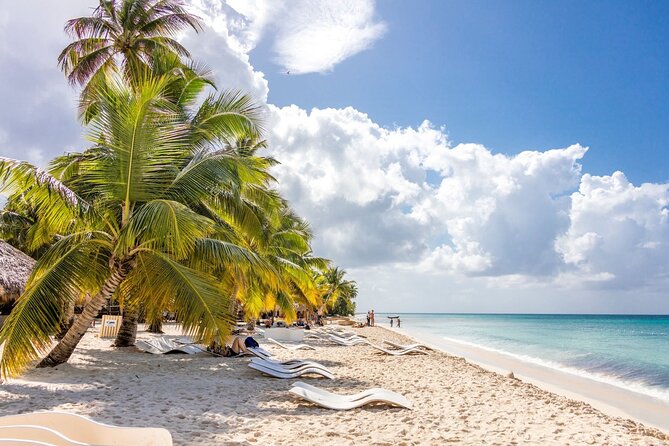 Saona Island Cruise & Private Beach - Lunch and Drinks at the Beachfront Restaurant