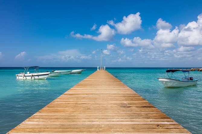 Saona Island Cruise & Private Beach - What the $133 Price Covers