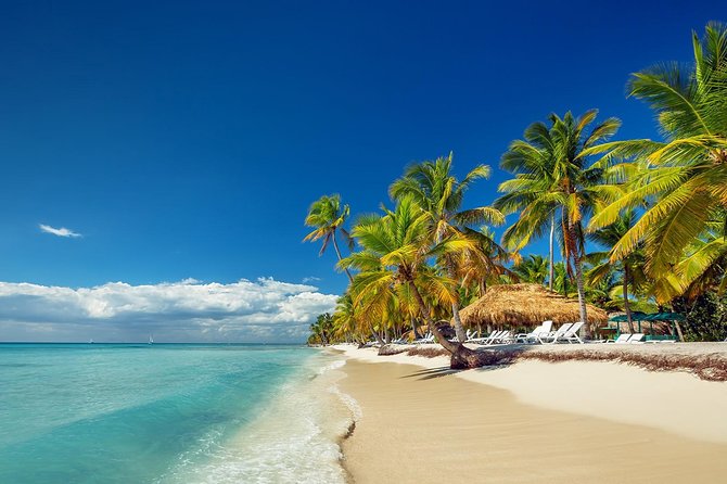 Saona Island Day Tour - Key points to know before booking
