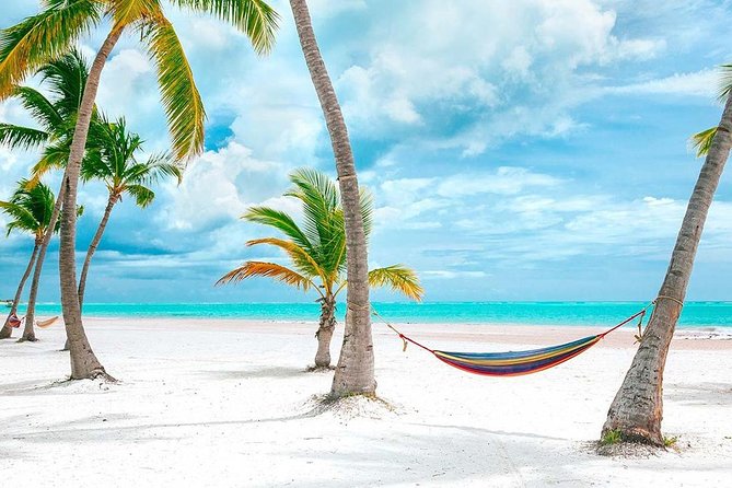 Saona Island Day Tour - Four hours on Saona Island