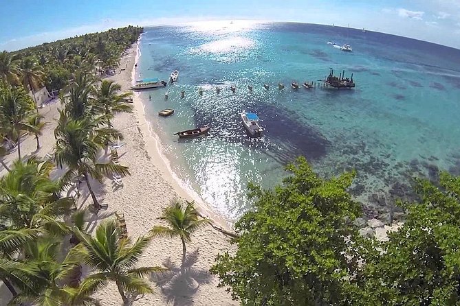 Saona Island Day Tour - Lunch, drinks, and the beach setup