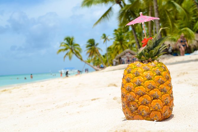 Saona Island Day Trip - Buffet lunch, drinks, and the value of $85