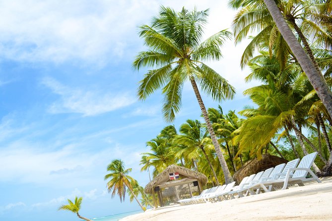 Saona Island Day Trip - Private tour wording and the 60-person limit