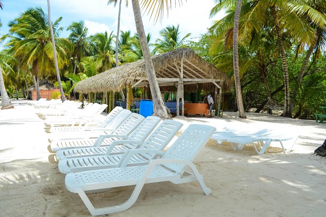 Saona Island Day Trip - Pickup, timing, and what the day feels like
