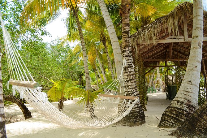 Saona Island Day Trip - Who will enjoy this Saona day trip most