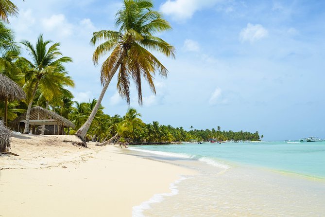Saona Island Day Trip - Practical advice for a smoother day
