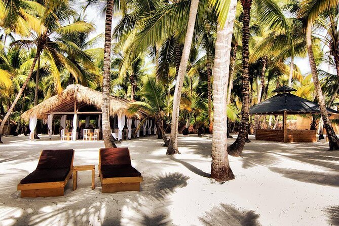 Saona Island Day Trip and Cruise from Punta Cana - The fast boat and the Atlantic natural pool