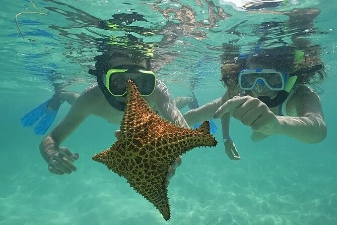 Saona Island Day Trip From Punta Cana with Lunch and Open Bar - Key points to know before you book