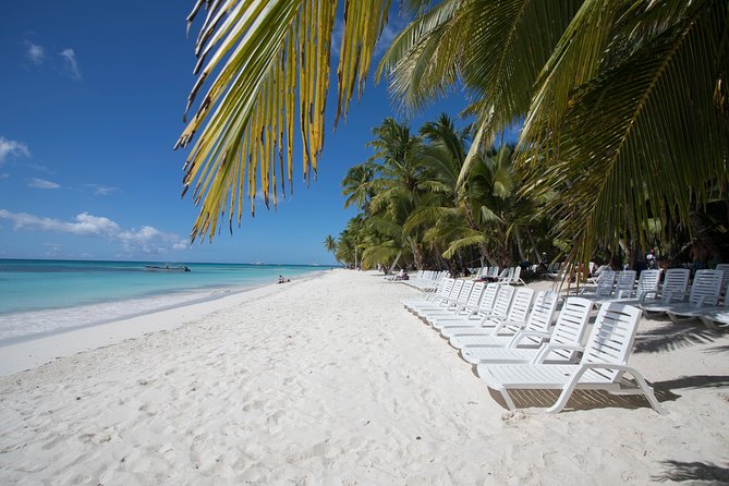 Saona Island Day Trip From Punta Cana with Lunch and Open Bar - Getting from Punta Cana to Bayahibe