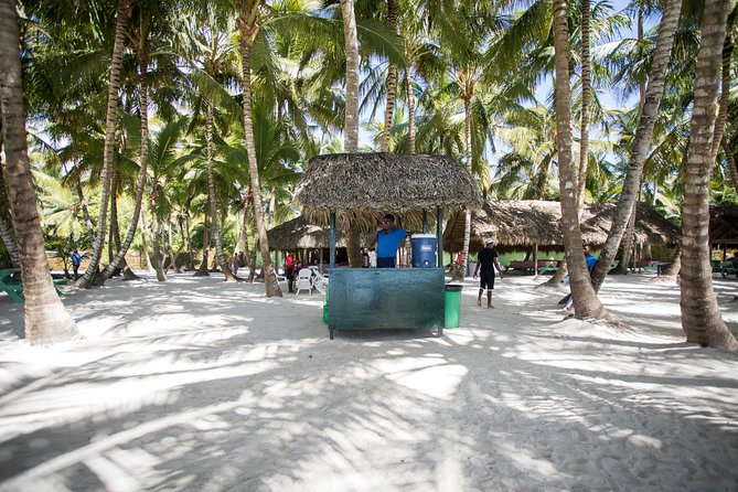Saona Island Day Trip From Punta Cana with Lunch and Open Bar - What to pack for this particular day