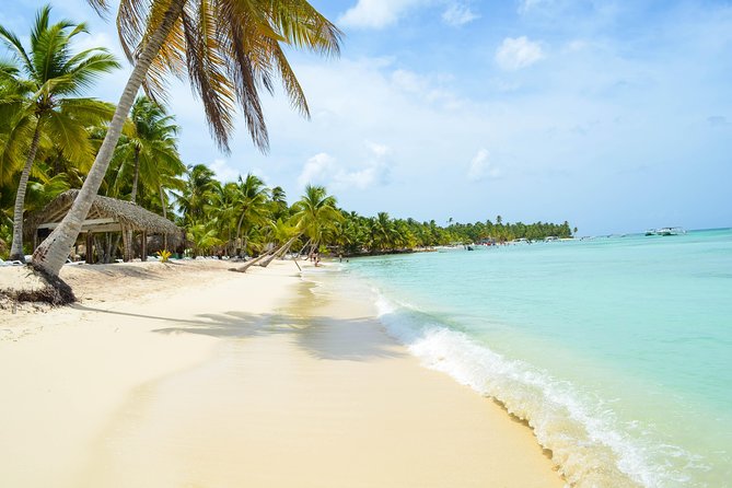 Saona Island Day Trip + Lobsters Included - What makes Saona Island worth the trip