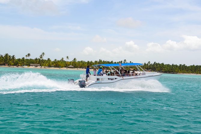 Saona Island Day Trip + Lobsters Included - The natural pool at Playa Palmilla