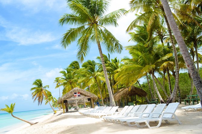 Saona Island Day Trip + Lobsters Included - Lunch, lobster, and the biggest question mark