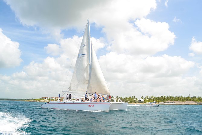Saona Island Day Trip + Lobsters Included - How to prepare for a smoother day