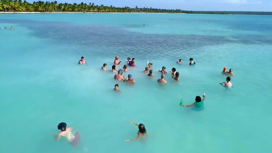 Saona Island Day Trip + Lunch + Open Bar from Punta Cana - Saona Island gives you the main beach hours
