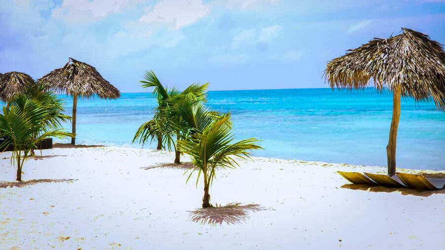 Saona Island Day Trip + Lunch + Open Bar from Punta Cana - Lunch is convenient, filling, and not a restaurant meal