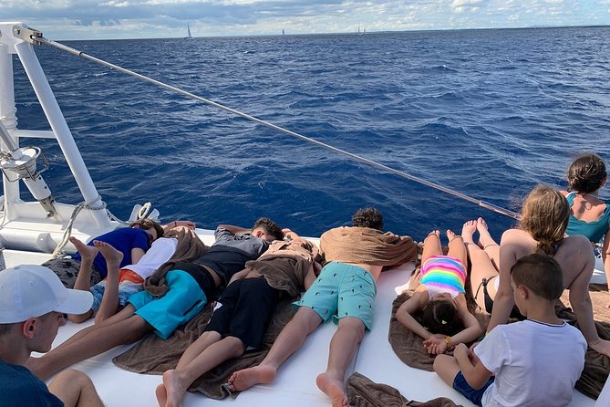 Saona Island Excursion by Catamaran and Speedboat (Full Day) - Saona Island in one long day