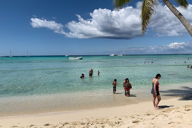 Saona Island Excursion by Catamaran and Speedboat (Full Day) - How much value do you get for $95?