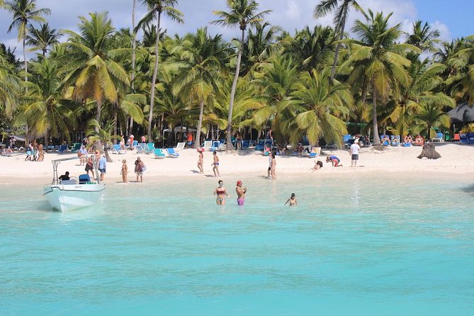 Saona Island Excursion by Catamaran and Speedboat - The natural pool and its waist-deep water