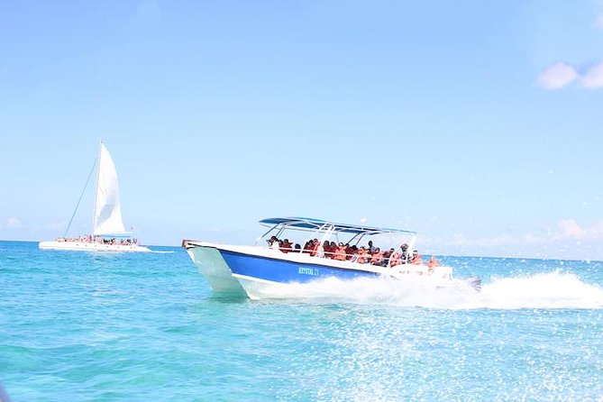 Saona Island Excursion from Bayahibe - The natural pool is the most distinctive stop