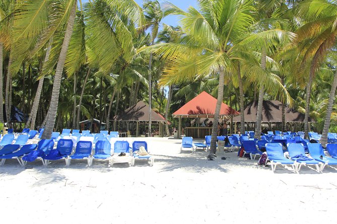 Saona Island Excursion From Punta Cana - The natural pool or sandbar is a real highlight