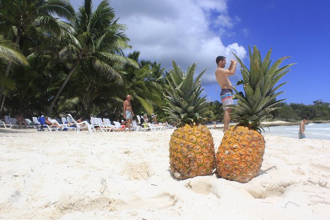 Saona Island Excursion From Punta Cana - Saona Island gives you beach, lunch, and limited free time