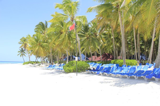 Saona Island Excursion From Punta Cana - The catamaran return is the party finale