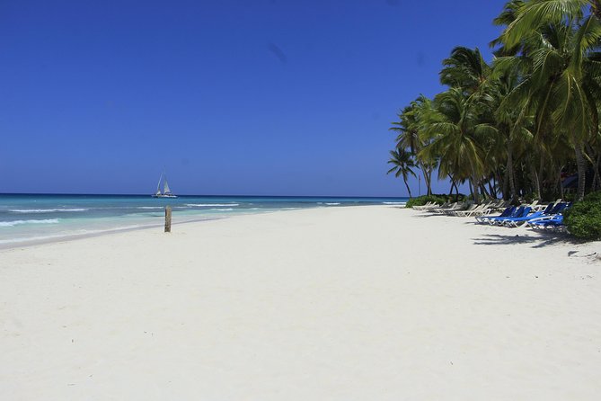 Saona Island Excursion From Punta Cana - Guides, group size, and the feel of the day