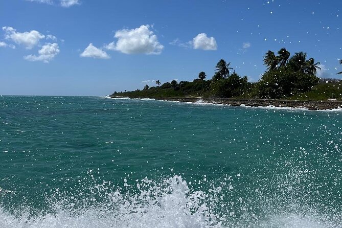 Saona Island for Marella Discovery Passengers from La Romana Port - The natural pool and its starfish