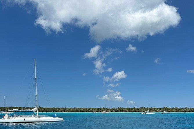 Saona Island from Punta Cana - Saona Beach: eight hours of sand, lunch, and free time