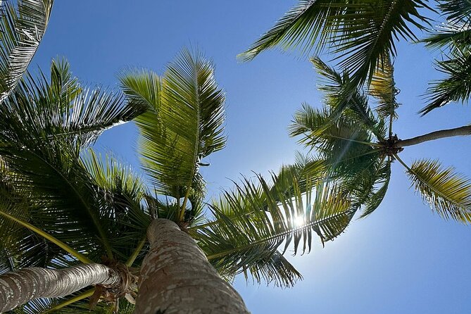 Saona Island from Punta Cana - Speedboat out, catamaran back