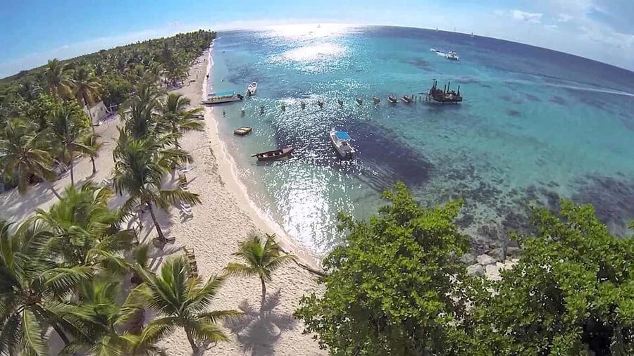 Saona Island from Punta Cana Day Trip with Open Bar - Key points to know before booking