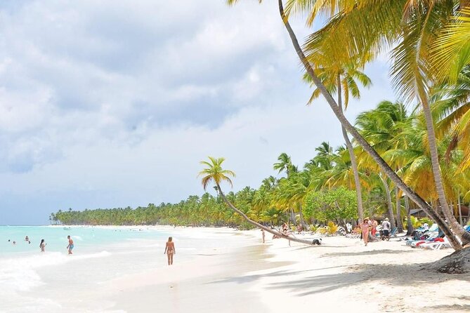 Saona Island from Punta Cana with Transportation and Lunch Included - A 45-minute swim at the natural pool