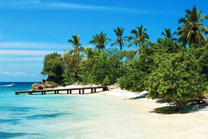 Saona Island from Punta Cana with Transportation and Lunch Included - The speedboat ride from Bayahibe
