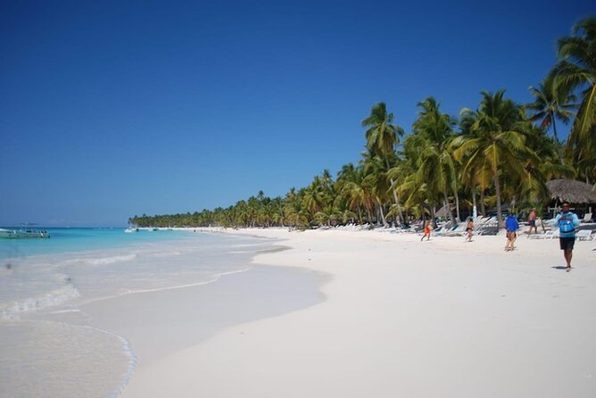 Saona Island Full Day Adventure From Punta Cana & Bavaro - What lunch and the $79 price really cover