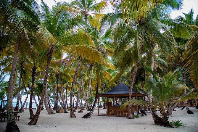 Saona Island Full Day Adventure From Punta Cana & Bavaro - Crowds, comfort, and the group size
