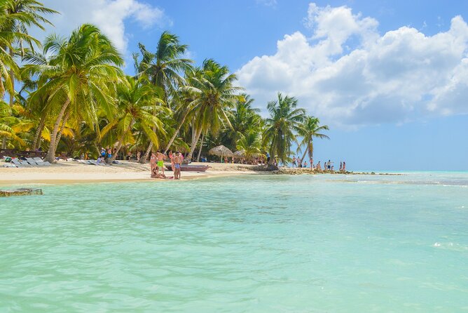 Saona Island Full-Day All-Inclusive Tour from Santo Domingo - Is $99 a fair price?