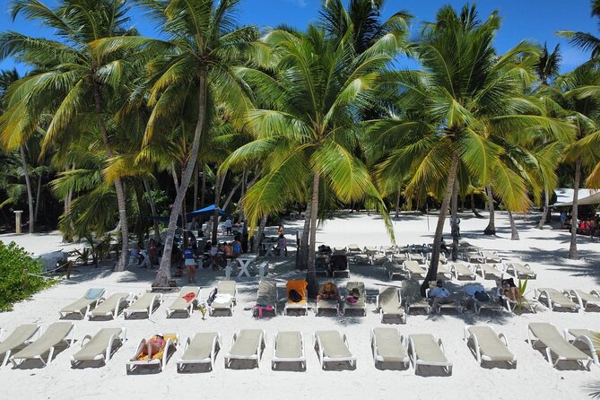 Saona Island: Full-day Catamaran Tour - Small Group - Key points to know before you book