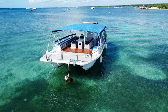 Saona Island: Full-day Catamaran Tour - Small Group - Food, drinks, and what to pack