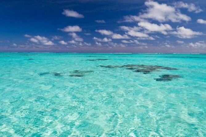 Saona Island Full-Day Excursion - The natural pool stop breaks up the journey