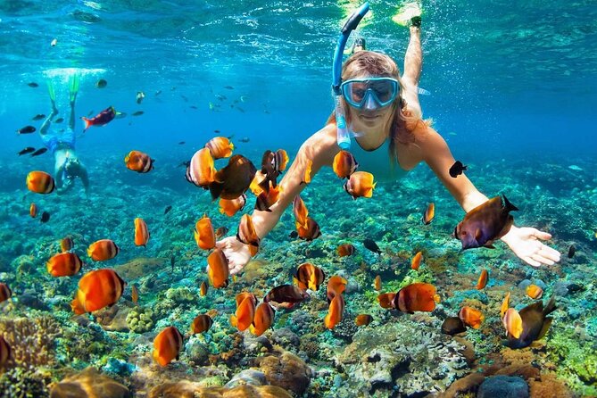 Saona Island Full Day Excursion from Punta Cana - Who will enjoy this Punta Cana excursion?
