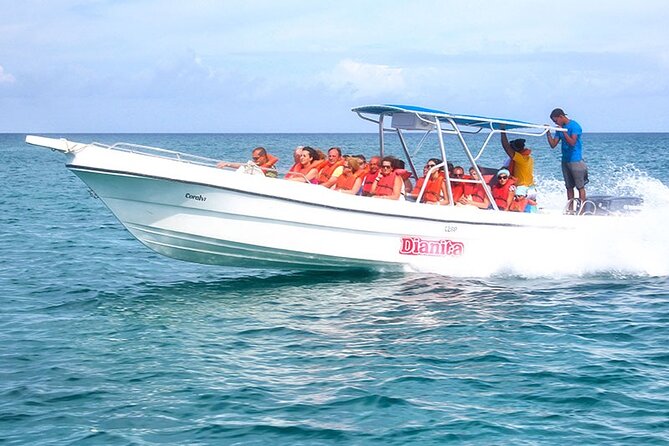 Saona Island Full Day Excursion from Punta Cana + Catamaran Party - A limited window on Saona Island