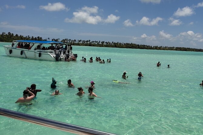 Saona Island Full Day From Punta Cana - Key points to know before you book