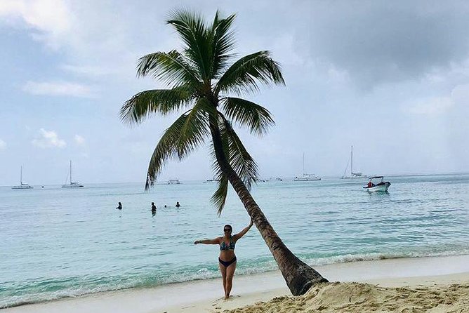 Saona Island Full Day From Punta Cana - The included Dominican buffet lunch
