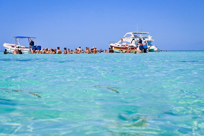Saona Island Full Day From Punta Cana - Returning by speedboat